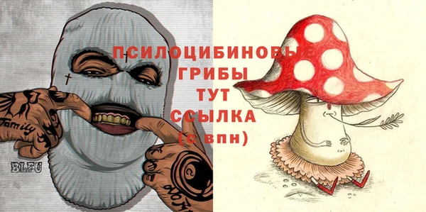 прущие грибы Волосово