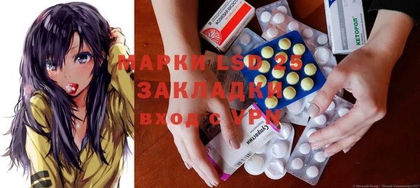 прущие грибы Волосово