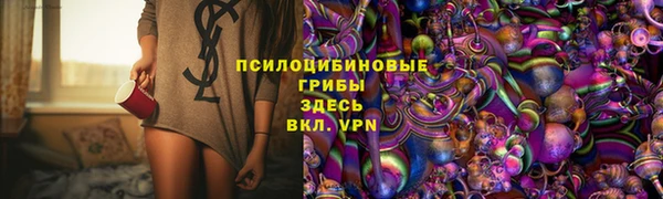прущие грибы Волосово